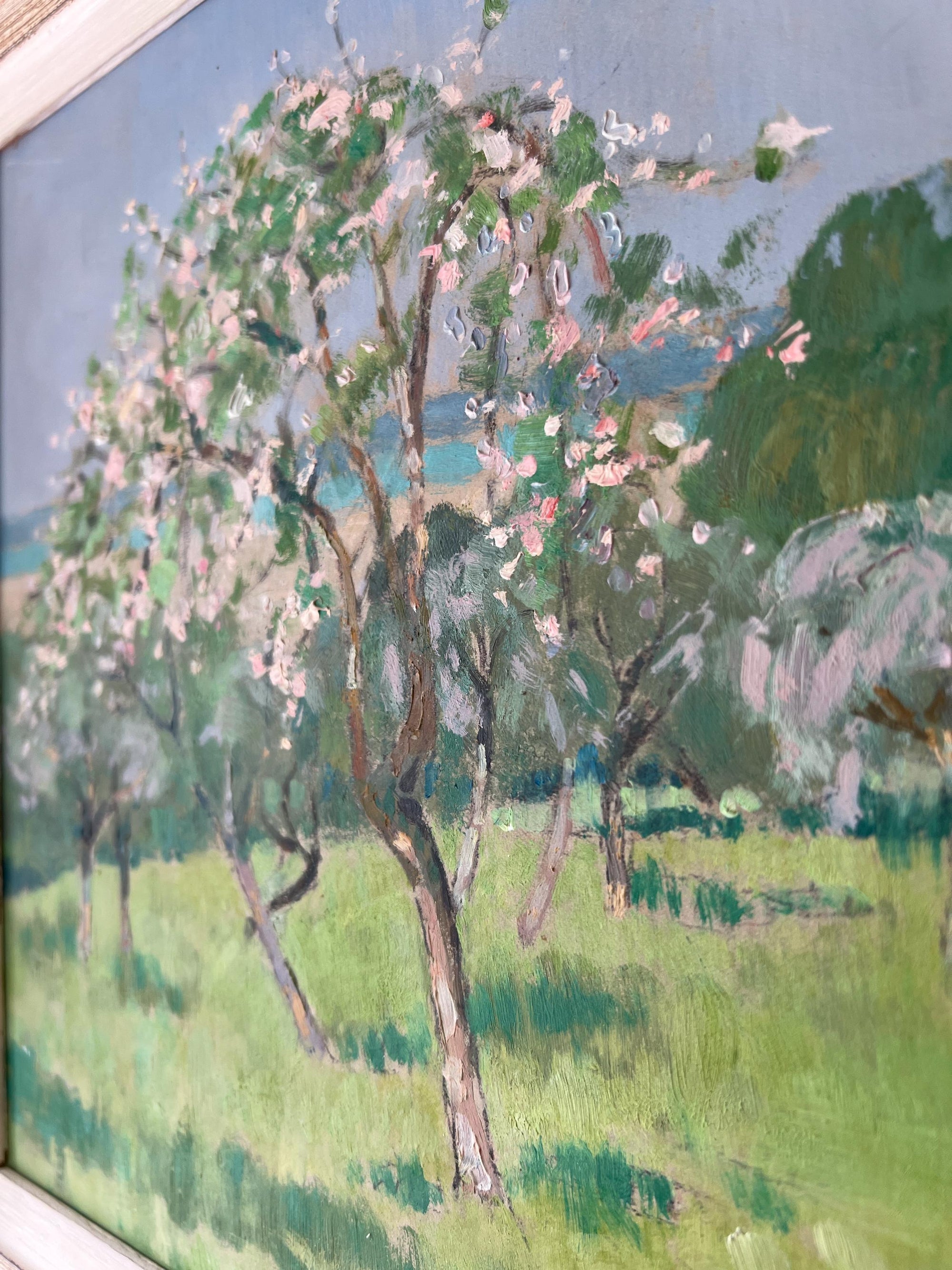 BLOSSOM TREE